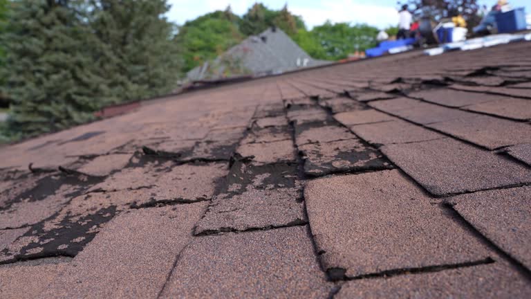 Best Asphalt Shingles Roofing  in Patrick Springs, VA