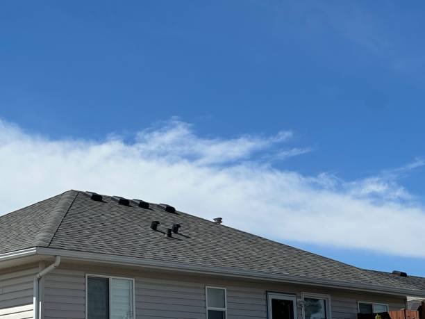 Best Roofing for New Construction  in Patrick Springs, VA